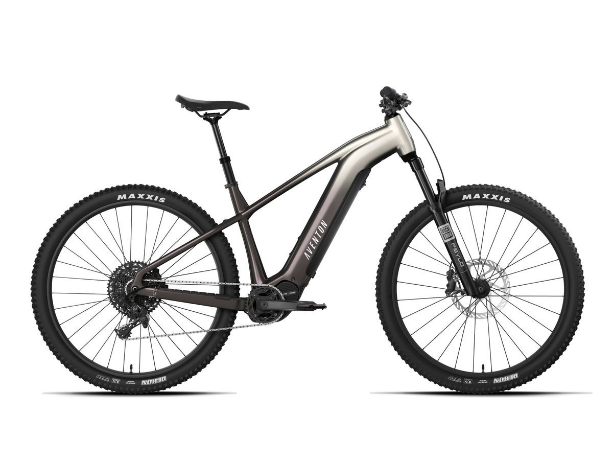 Aventon Ramblas ADV e-bike