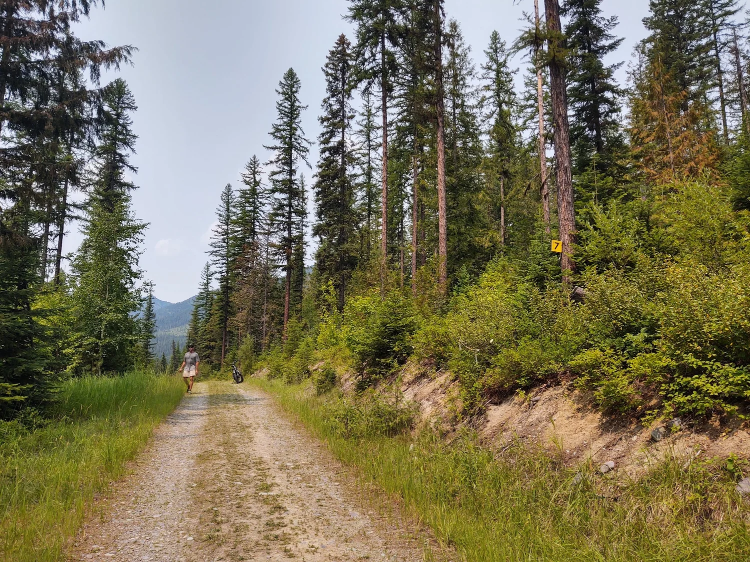 An e-biker rides the dirt road into the Haskill Basin outside Whitefish, Montana.