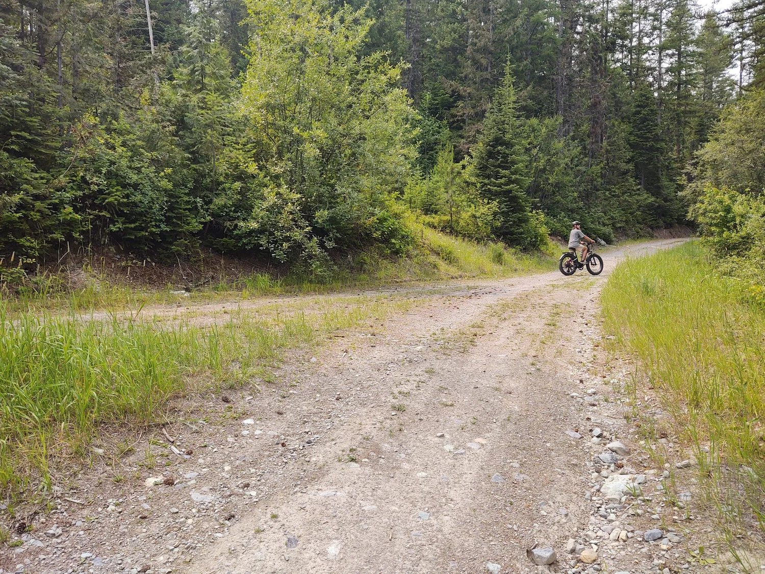 A rider on the Haskill Basin e-bike ride uses an e-bike with fat tires and suspension on the dirt road.