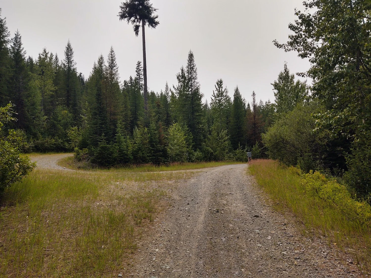 The Haskill Basin e-bike ride has two off-shoots and junctions, but you need to stay on the main road.